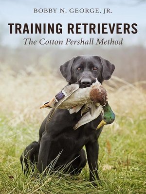 cover image of Training Retrievers